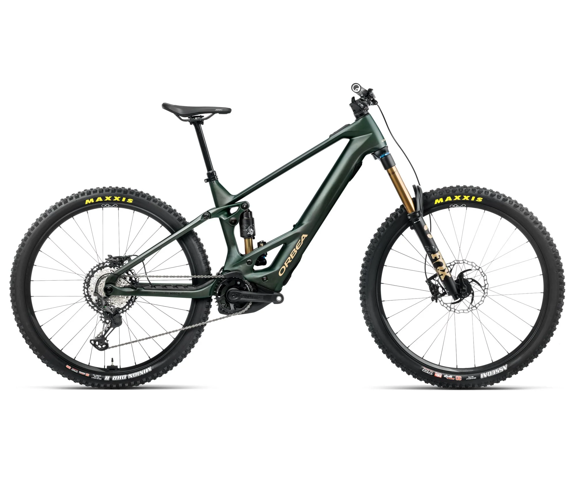 WILD M-TEAM - Forest Green