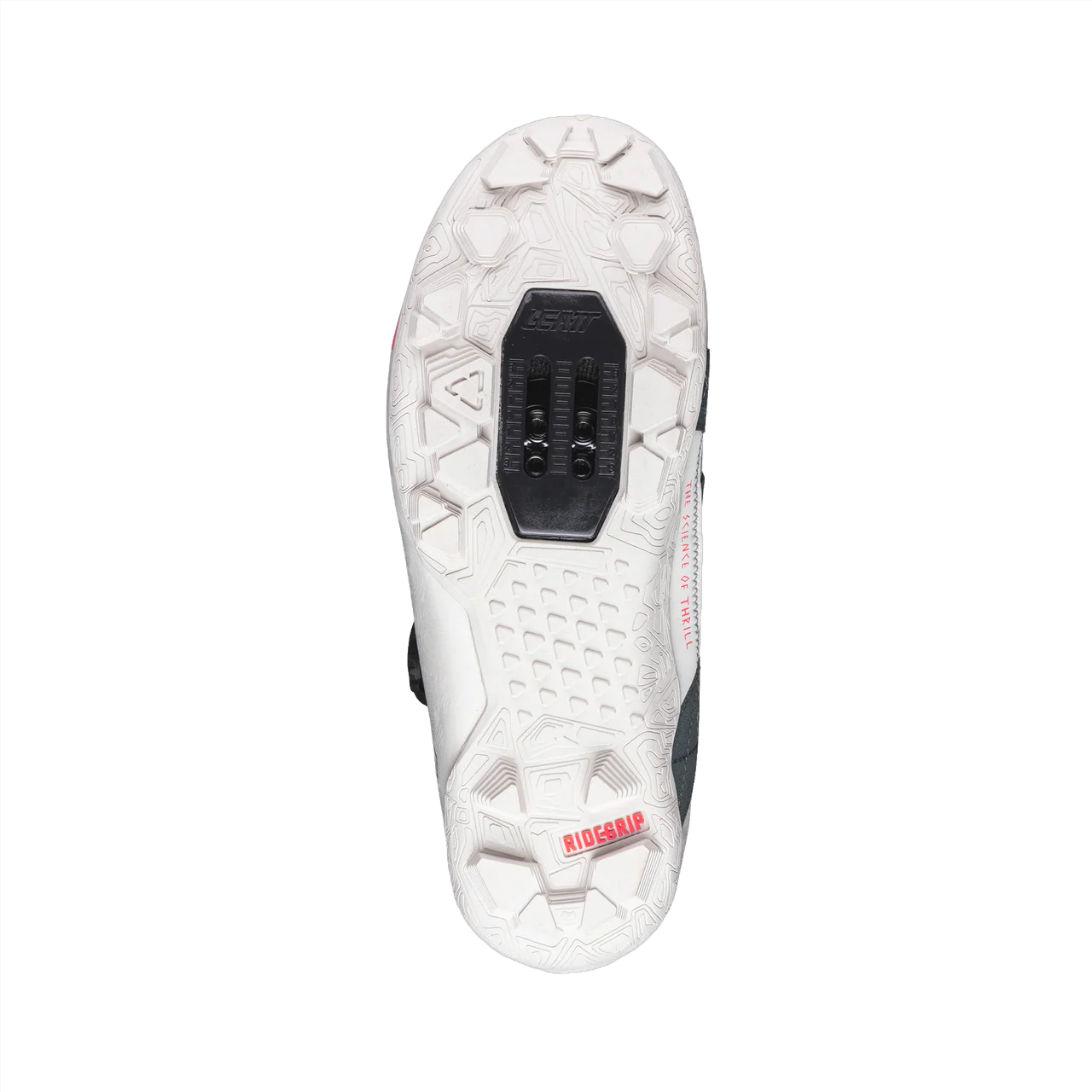 Shoe ProClip 8.0 Endurance Women - Mist Green - Image 6