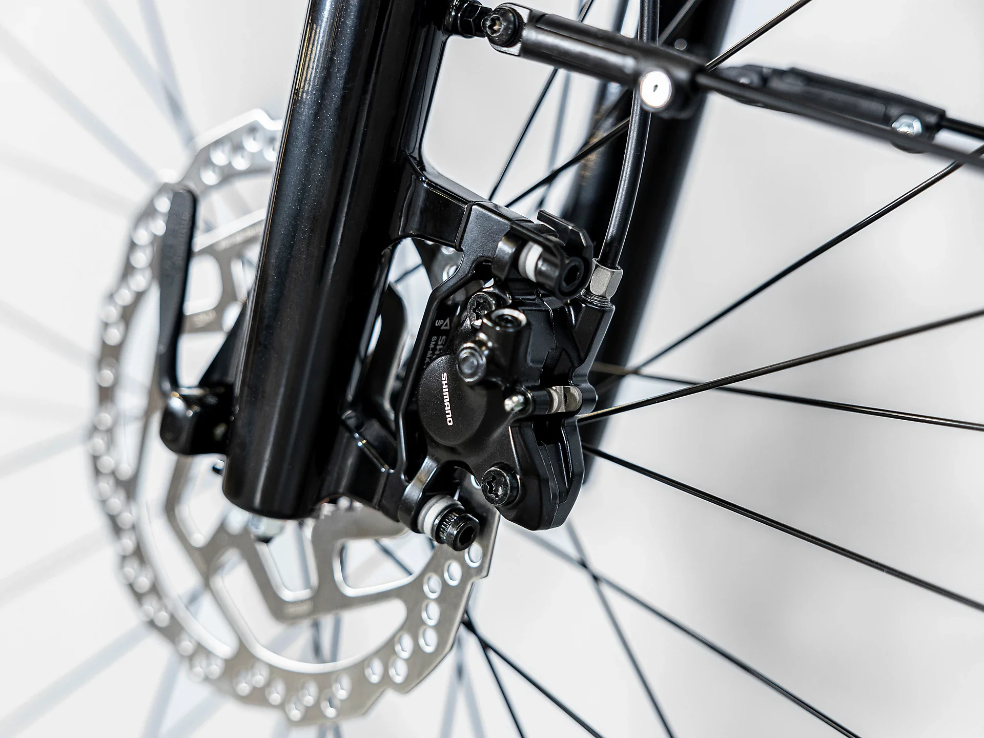 Allant+ 5 Trek Black 545Wh - Image 12