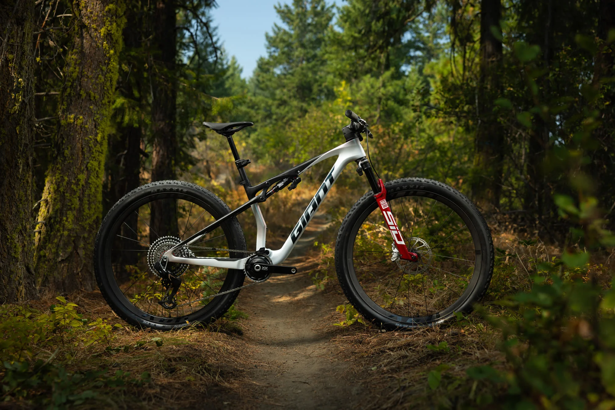 Anthem Advanced SL SE - White/Carbon - Image 11