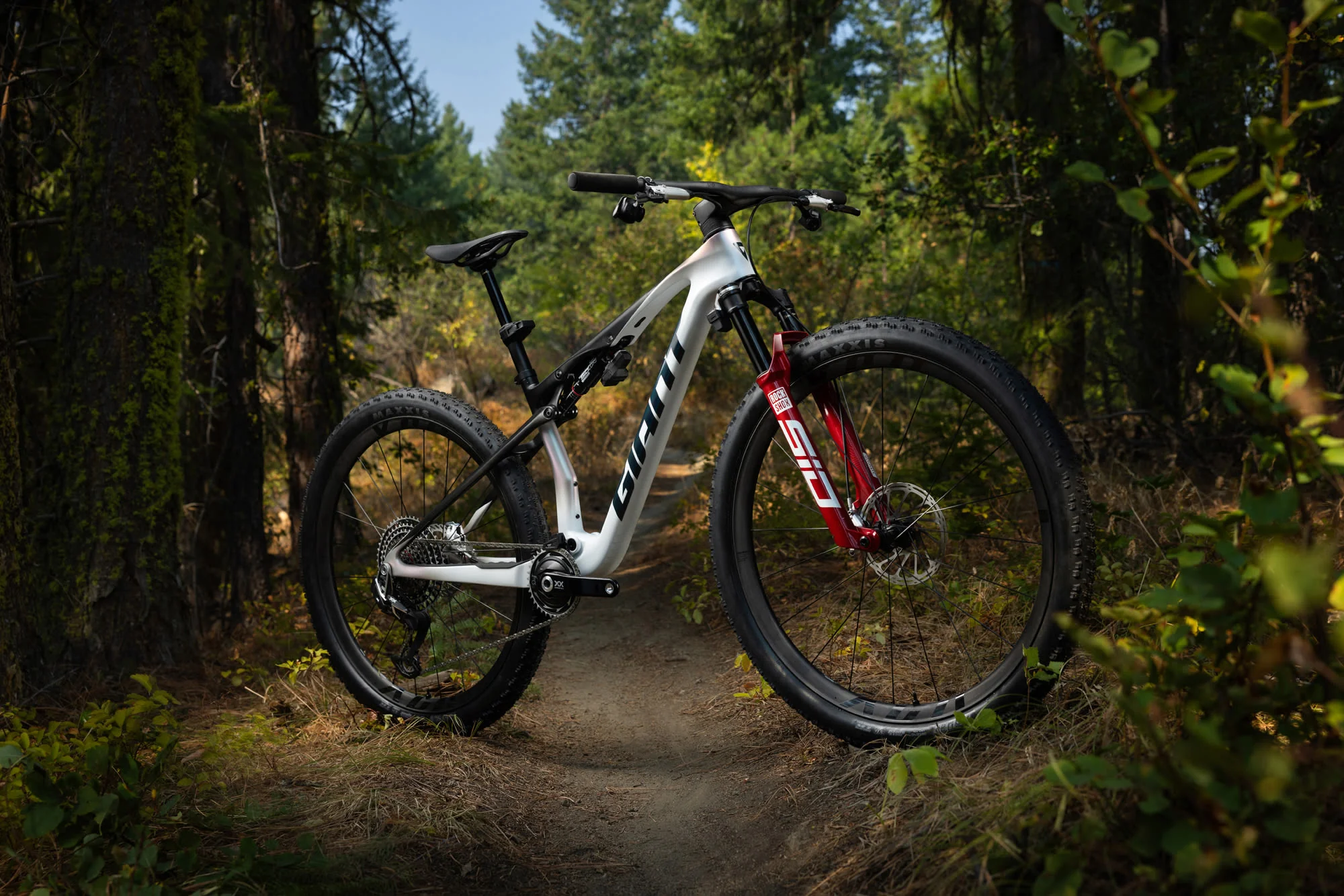 Anthem Advanced SL SE - White/Carbon - Image 12