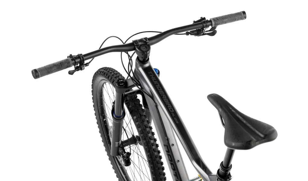 Trailbike Thunderbird Superenduro Evo Alu 29'' Matt Graphite/Black - Image 4