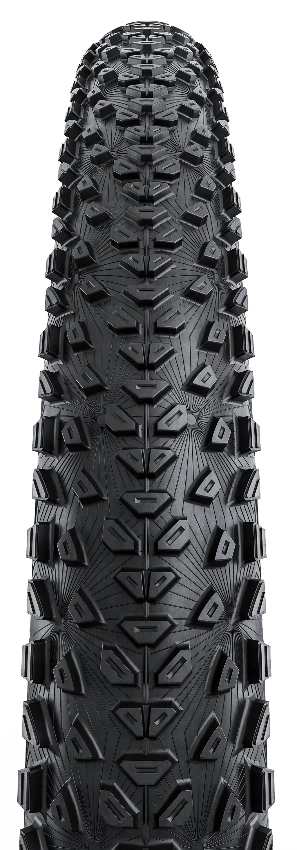 Dubnital Race, Grip Comp, 29" Faltreifen TLR - schwarz/braun - Image 2