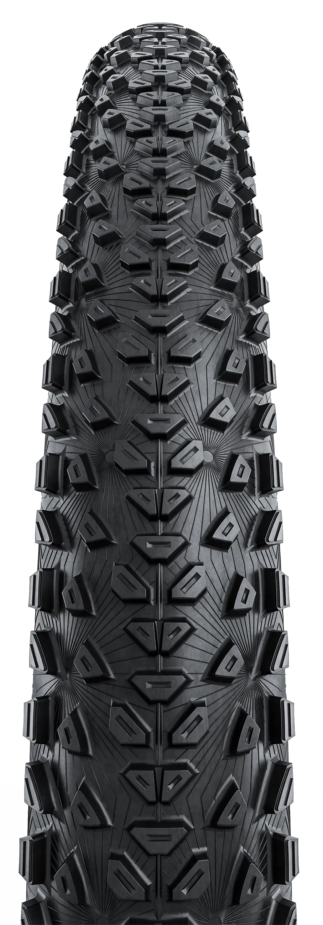 Dubnital Race, Grip Comp, 29 " Faltreifen TLR - schwarz - Image 2