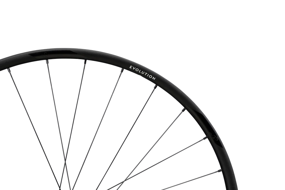 Evolution SL X.R.25 Aluminium, Centerlock, 12x142 mm, Sram XDR - schwarz - Image 2