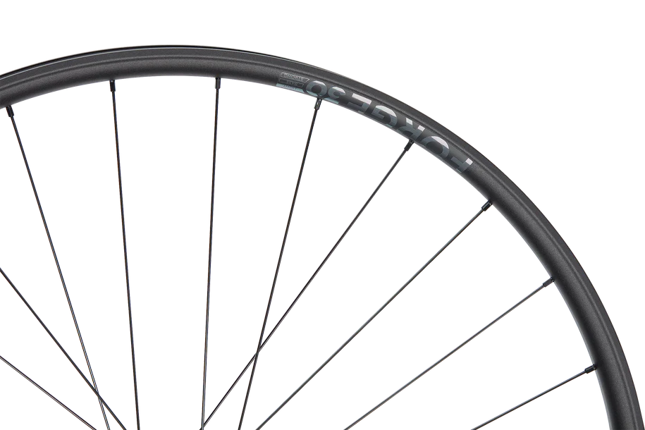 Forge 30 XC Light 29" Aluminium, 6 Loch, 12x148 mm, Shimano Micro Spline - schwarz - Image 3