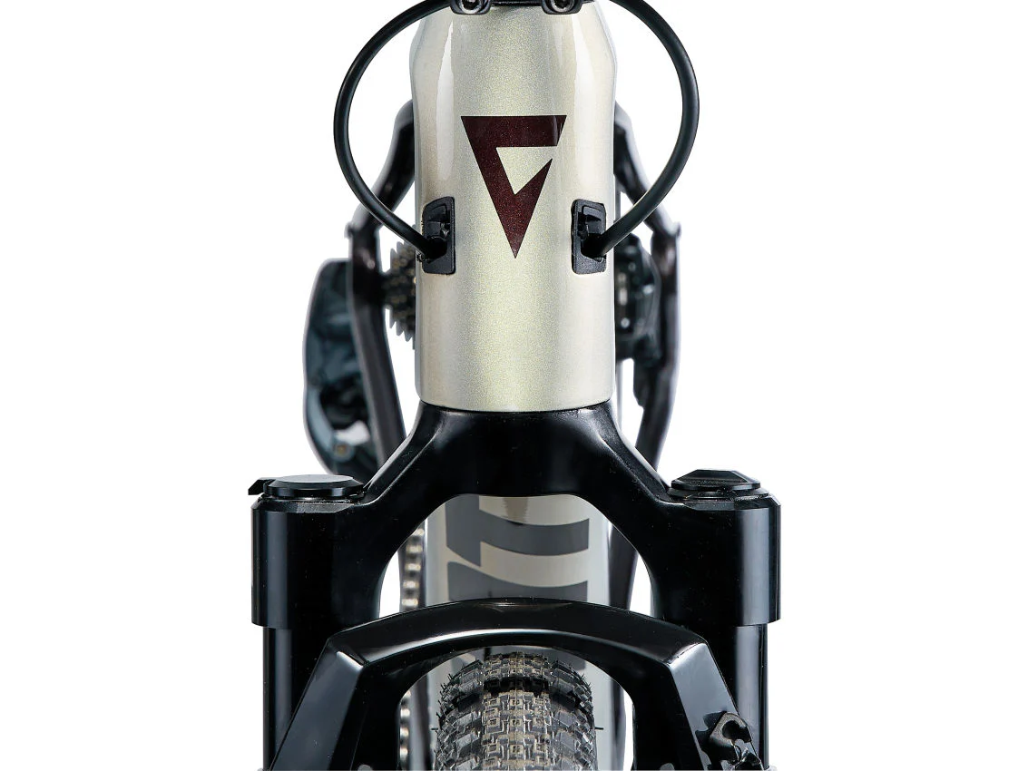 Revolt X Advanced Pro 1 - Golden Haze/Cordovan - Image 6