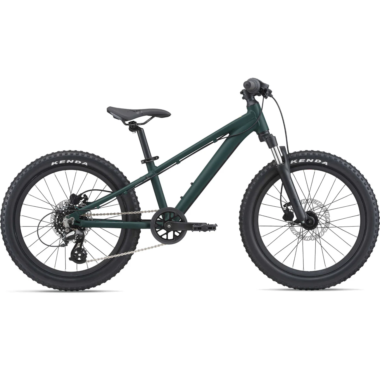 STP 20 FS GIANT