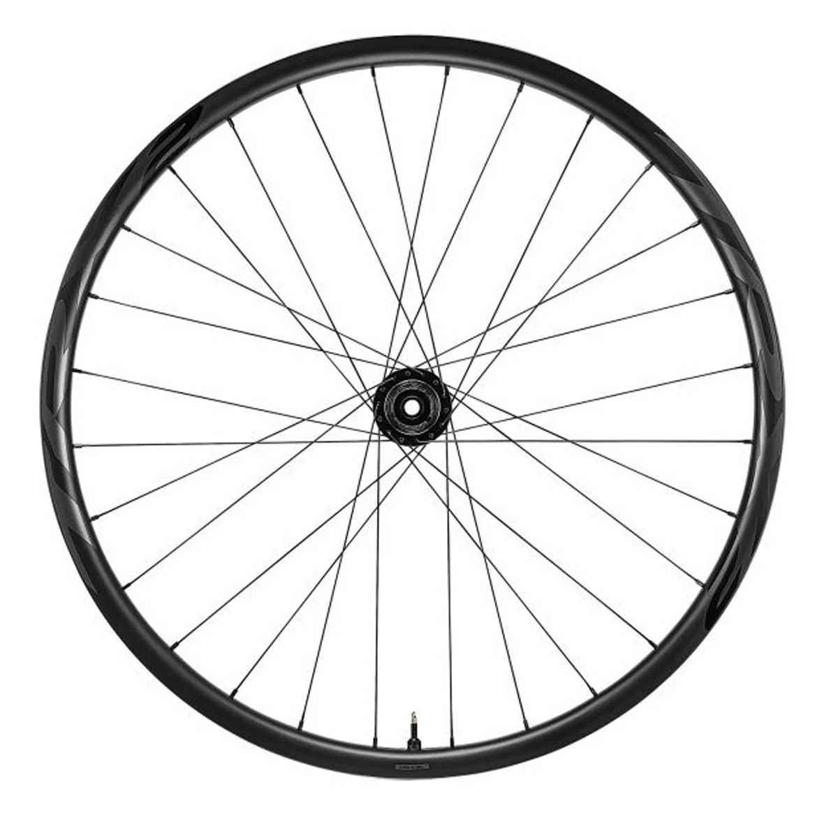 TRX 2 MTB Carbon 29 - Hinterrad - Image 2