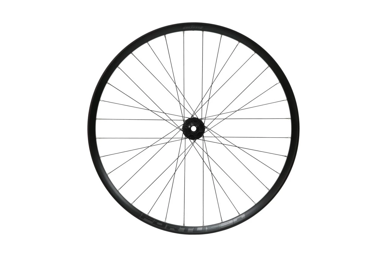 Fortus 30W Pro 5 Disc Vorderrad 29 Zoll 15 x 110 mm - Schwarz - Image 2