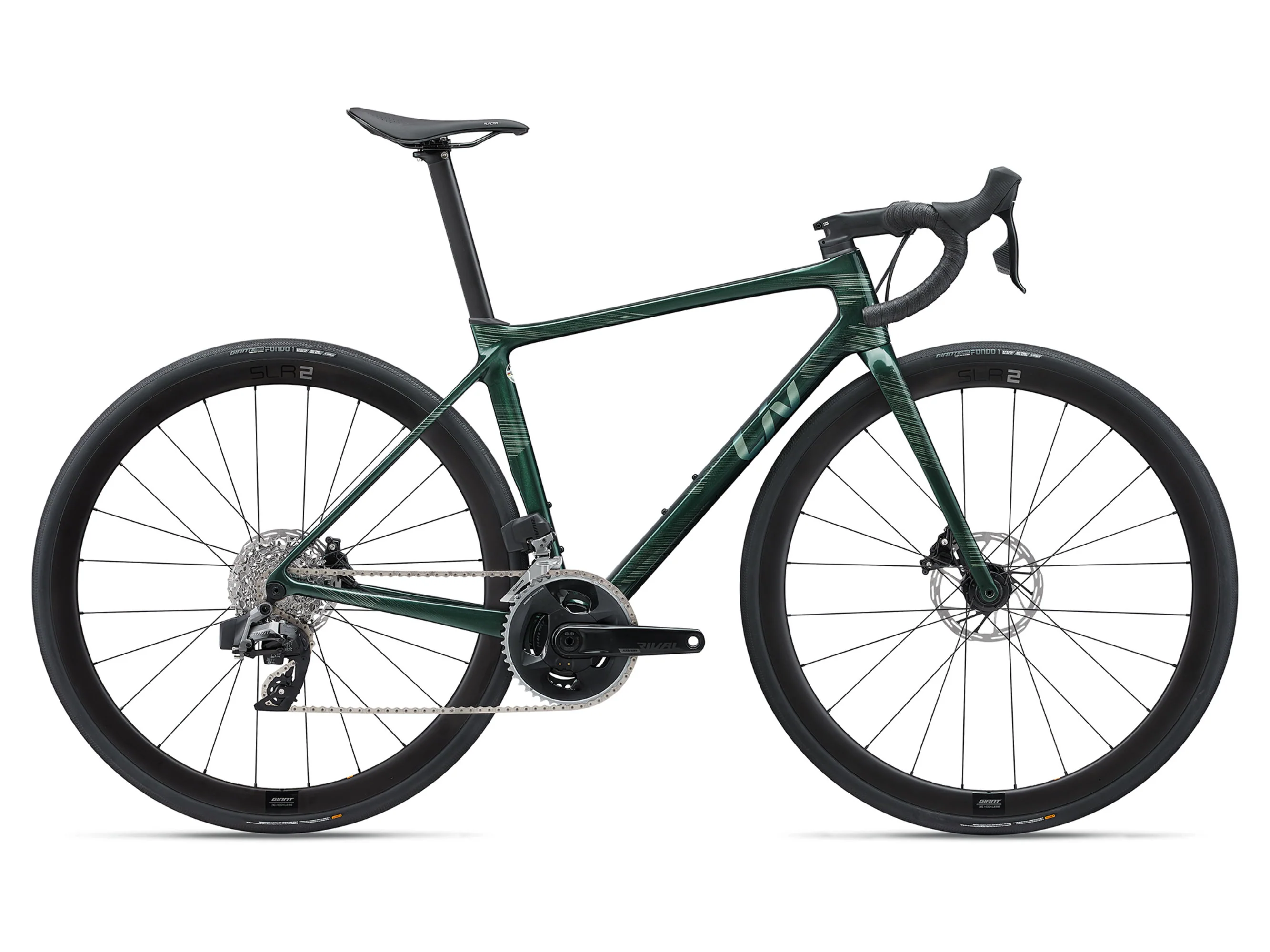 Langma Advanced Pro 1 - Kelp Forest