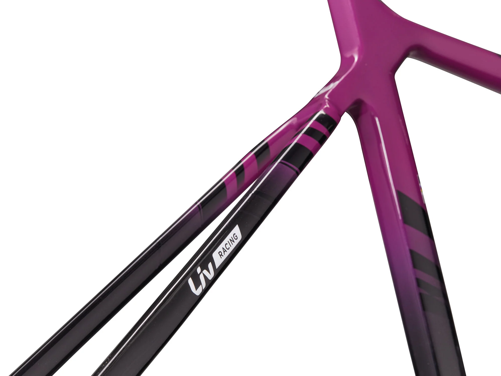 EnviLiv Advanced SL Rahmenset - Aubergine / Raw Carbon - Image 7