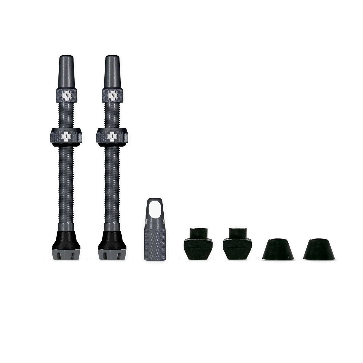 Ventile V2 für Tubeless Reifen - grau - MTB & Road