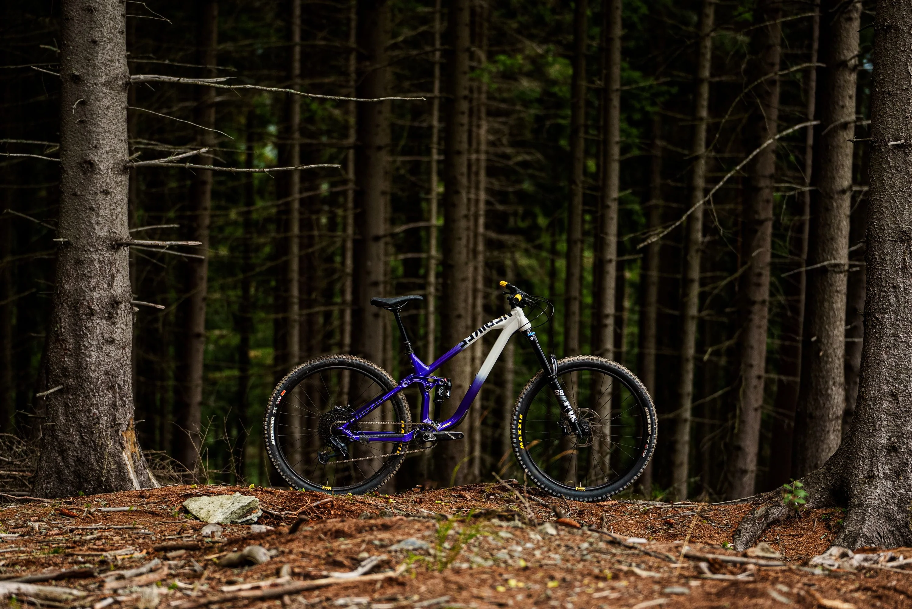 Define AL 155/1 29" Enduro/AM - Violet/Grey - Image 5