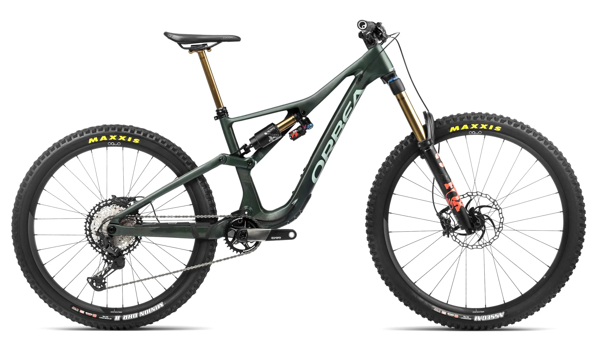 RALLON M - TEAM Forest Green Carbon View (Matt - Gloss) - Blue Stone (Gloss)