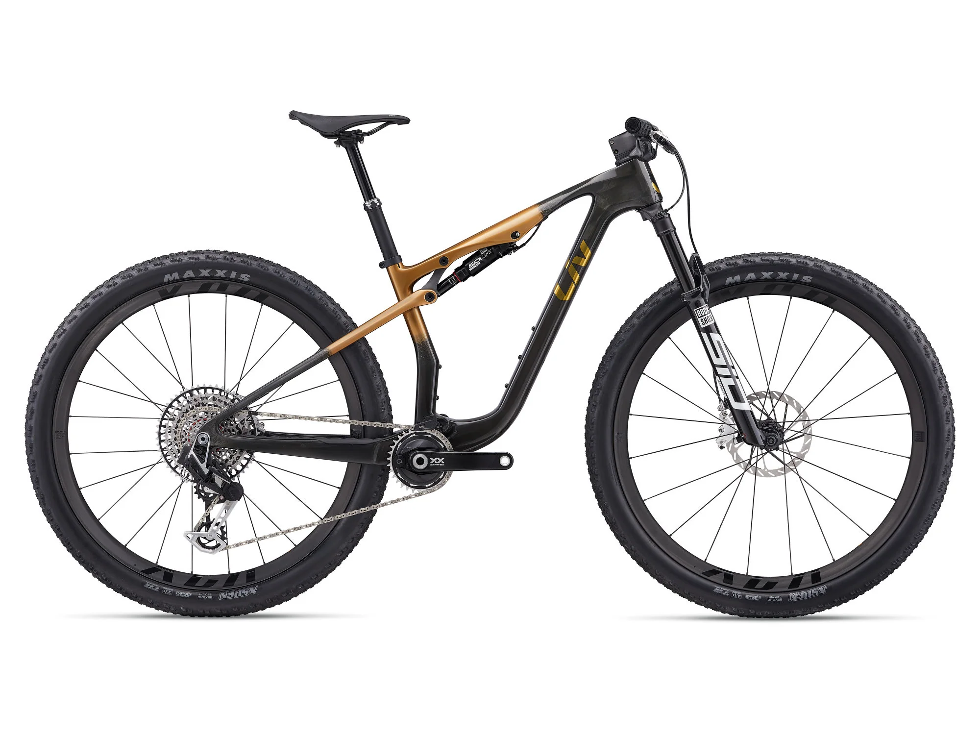 Pique Advanced SL 0 - Raw Carbon/Steampunk