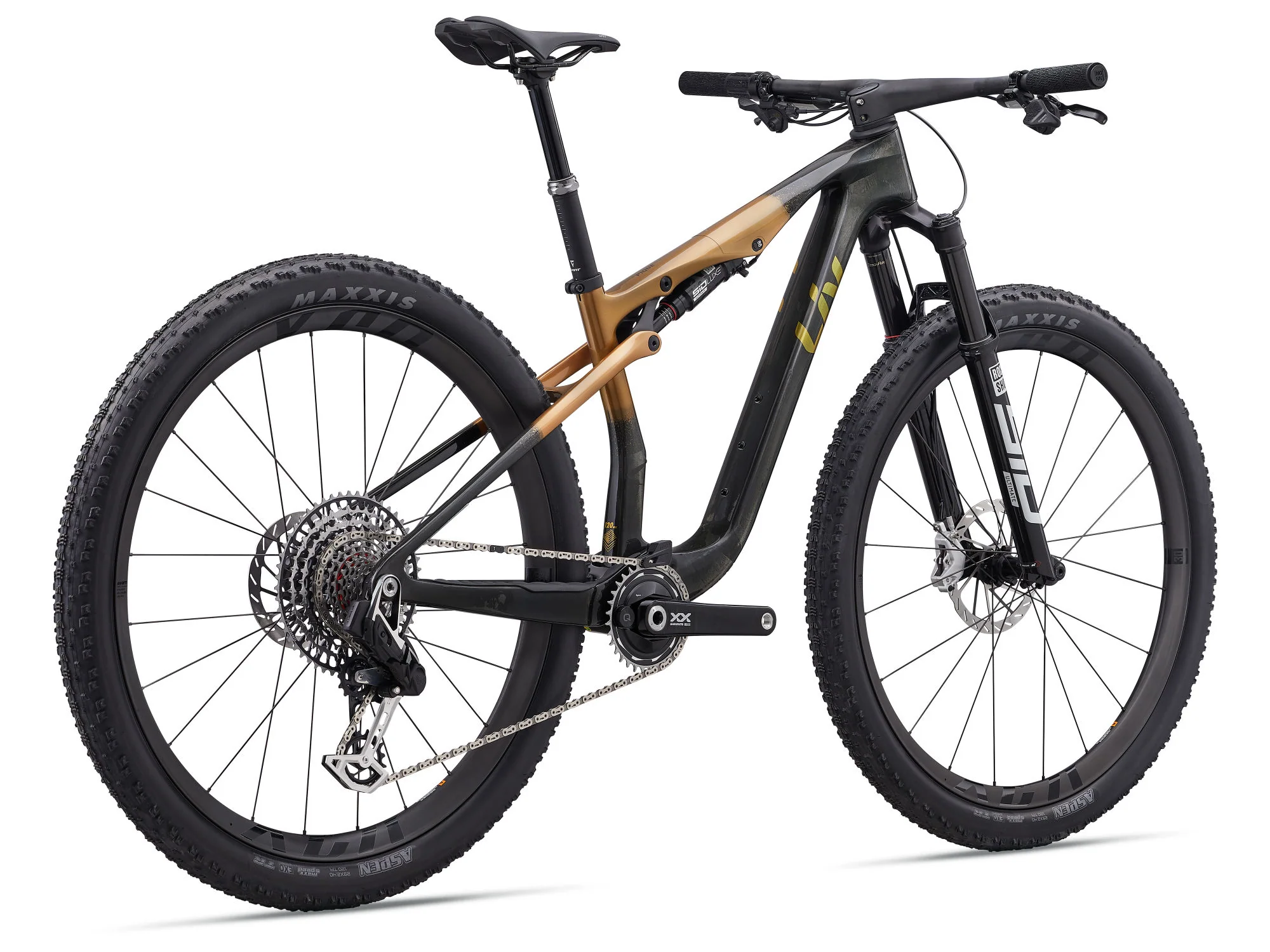 Pique Advanced SL 0 - Raw Carbon/Steampunk - Image 2