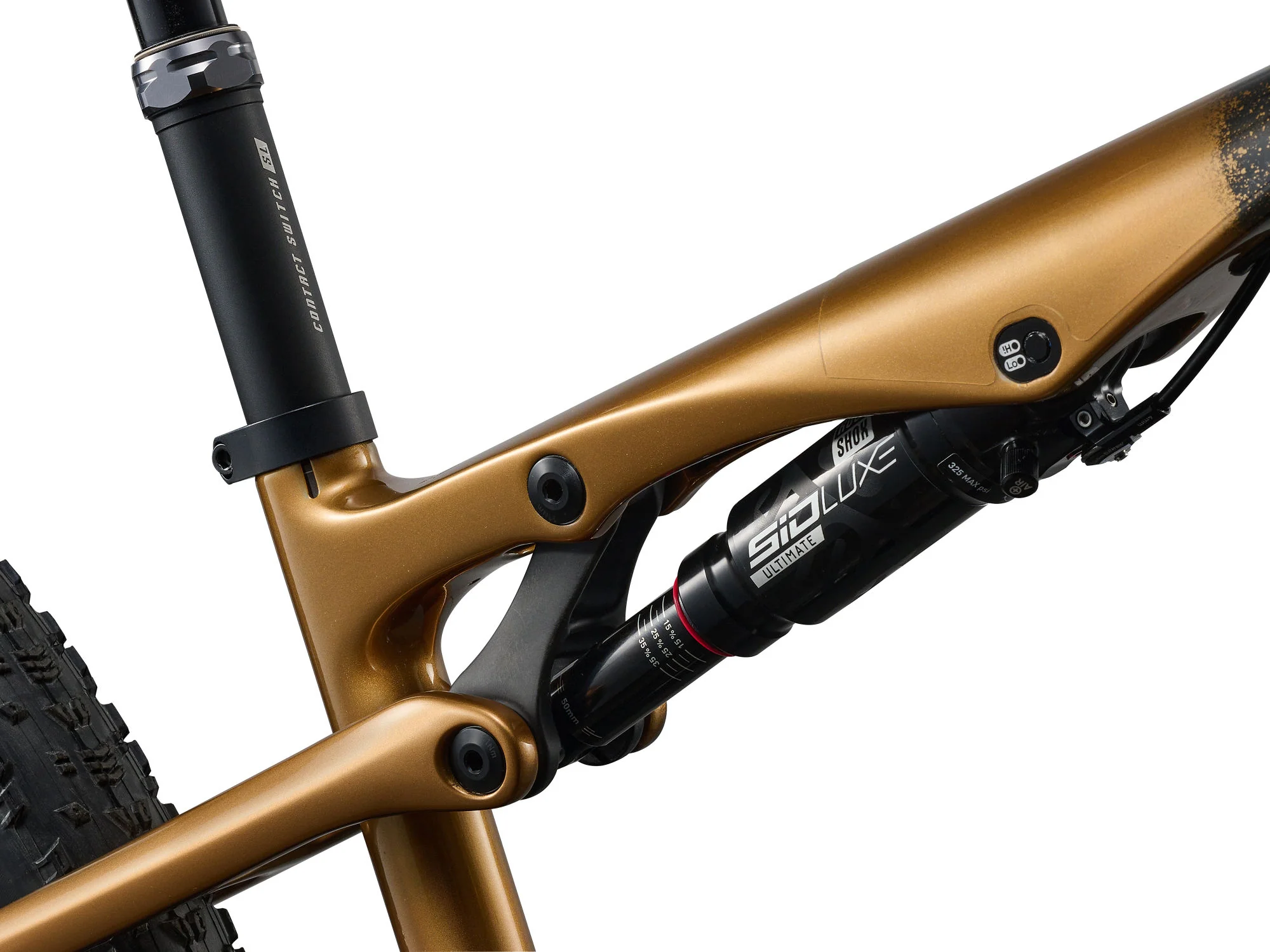 Pique Advanced SL 0 - Raw Carbon/Steampunk - Image 6
