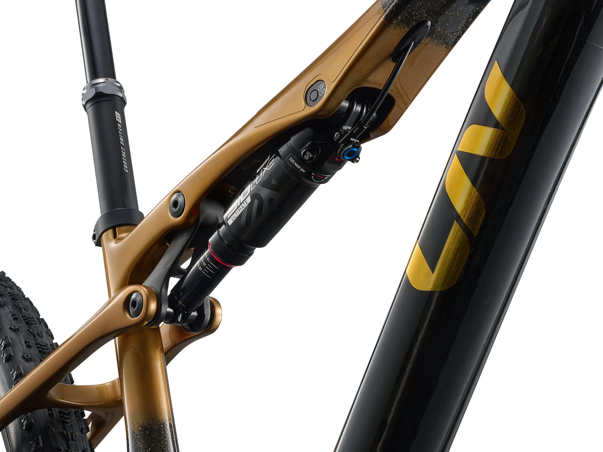 Pique Advanced SL 0 - Raw Carbon/Steampunk - Image 7