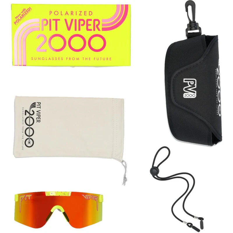 The 2000s - Polarized - 1993 - Image 4