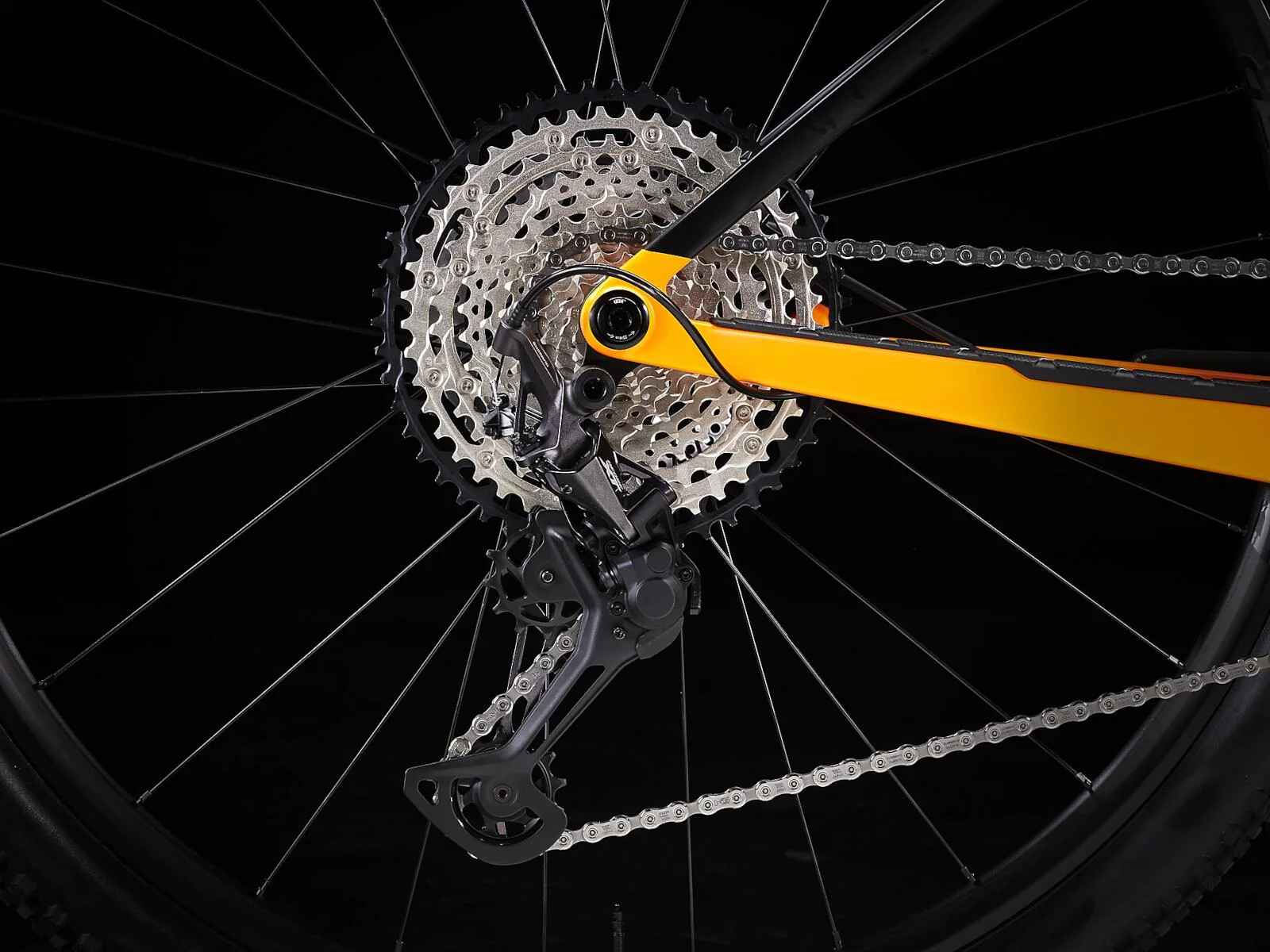 Procaliber 9.6 Satin Marigold/Deep Smoke - Image 4