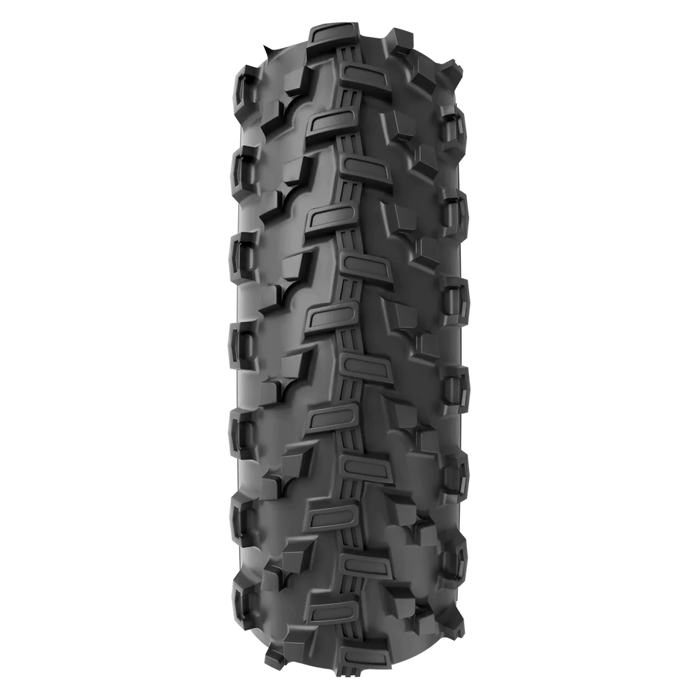 Saguaro XC 29" Faltreifen TLR - schwarz - Image 2