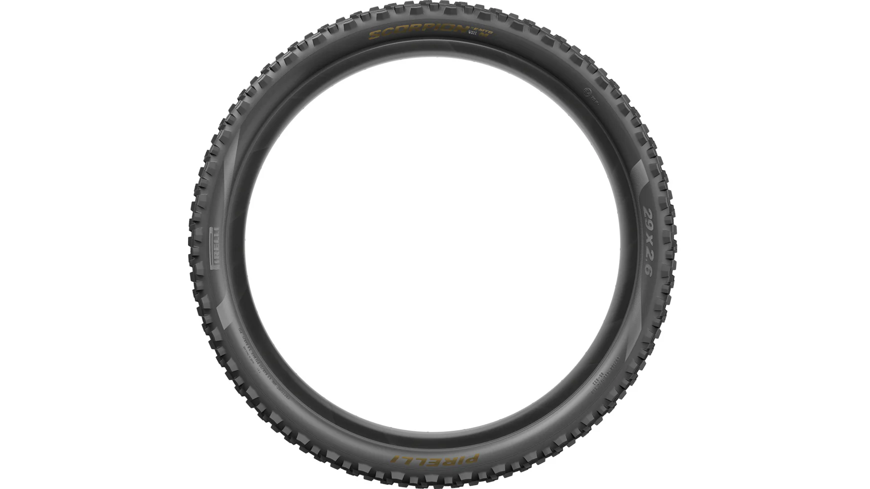 Scorpion E-MTB M, 29" - gold label - Image 2