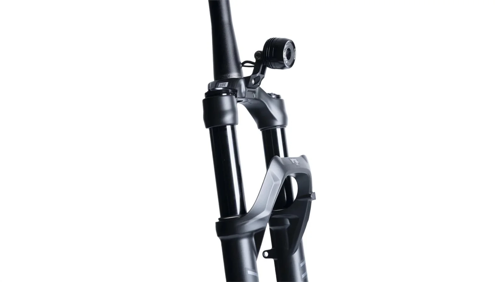 Fox Halter - Image 3