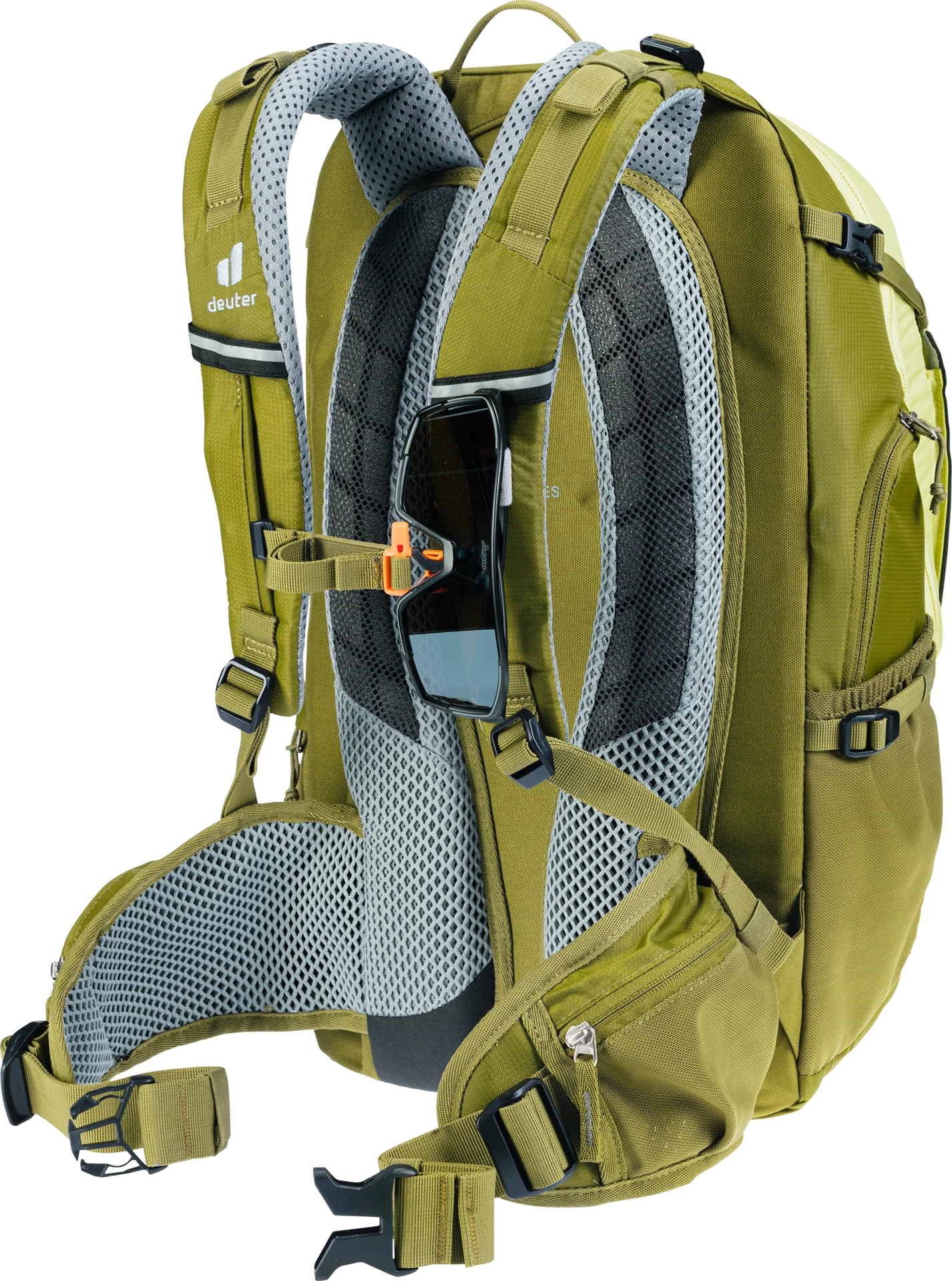 Trans Alpine 24 - sprout-cactus - Image 10