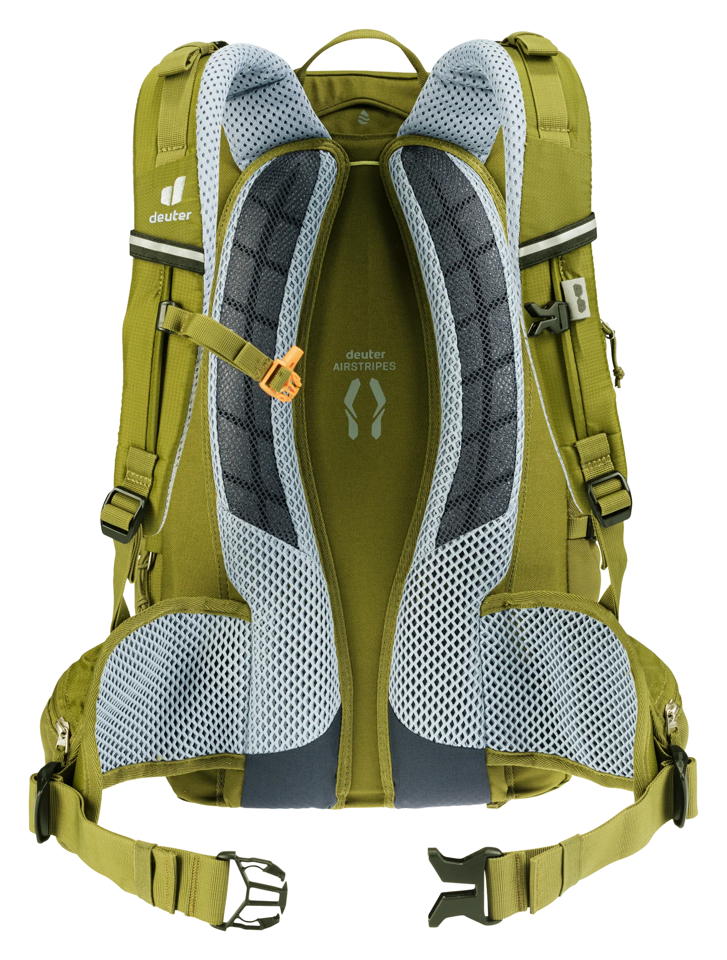 Trans Alpine 24 - sprout-cactus - Image 2