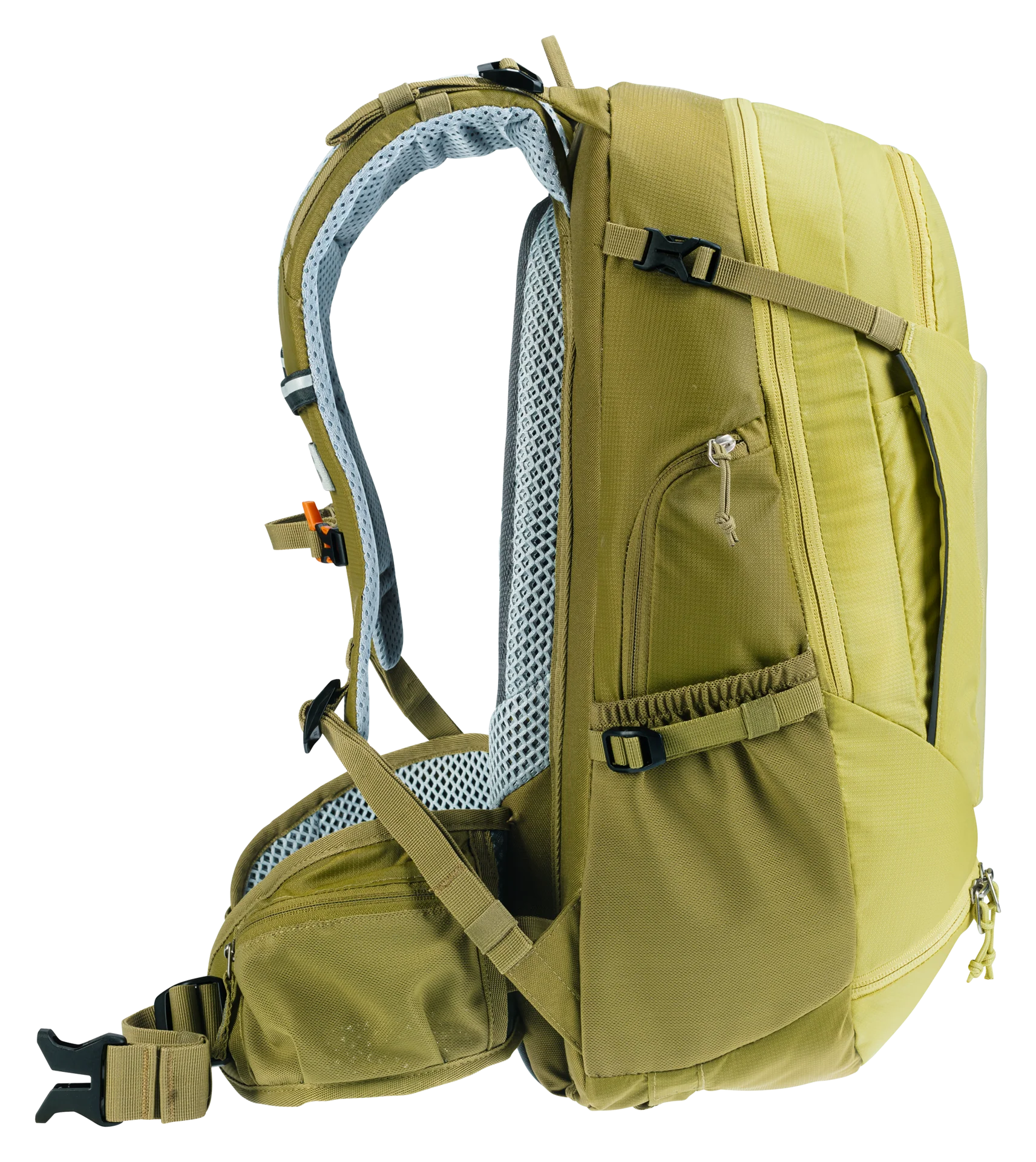Trans Alpine 24 - sprout-cactus - Image 3