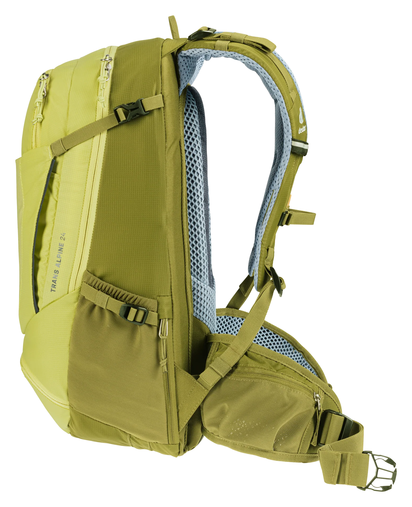 Trans Alpine 24 - sprout-cactus - Image 4