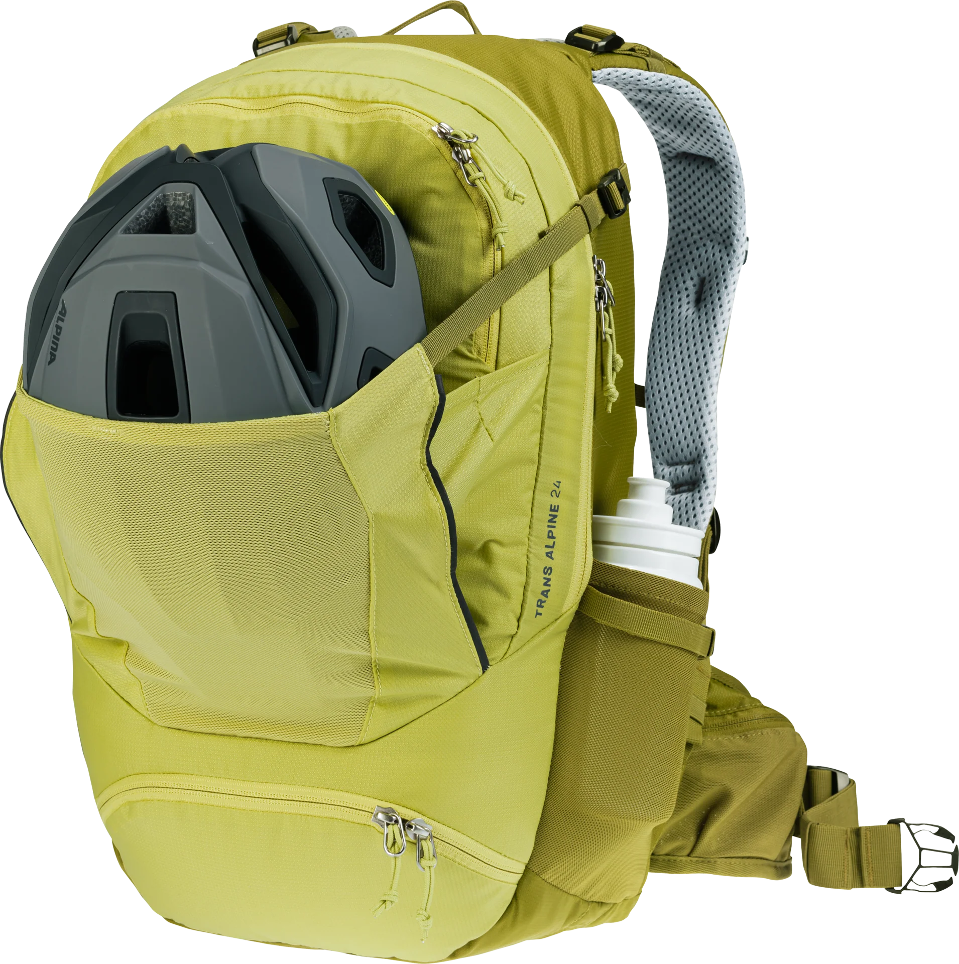 Trans Alpine 24 - sprout-cactus - Image 6