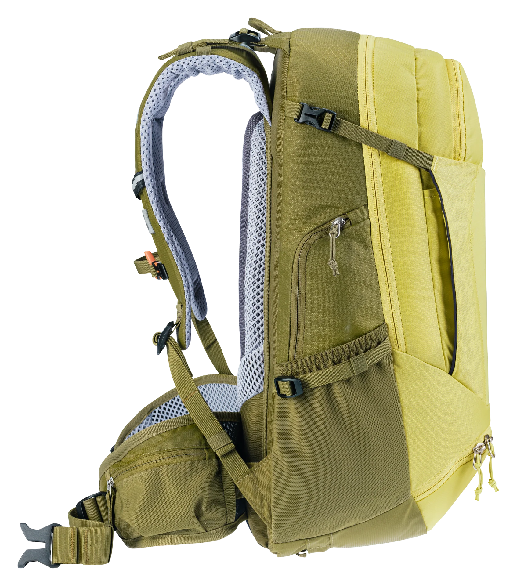 Trans Alpine 30 - sprout-cactus - Image 3