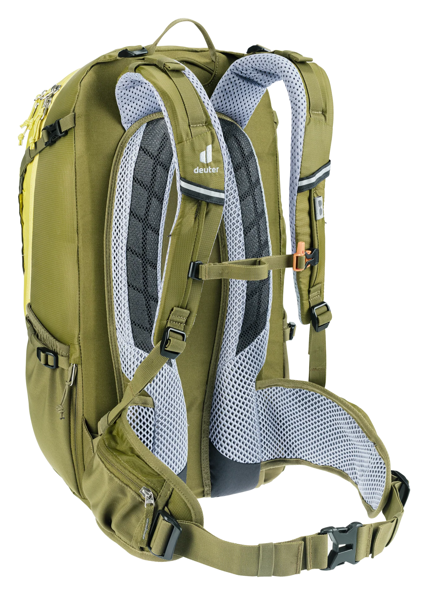 Trans Alpine 30 - sprout-cactus - Image 4