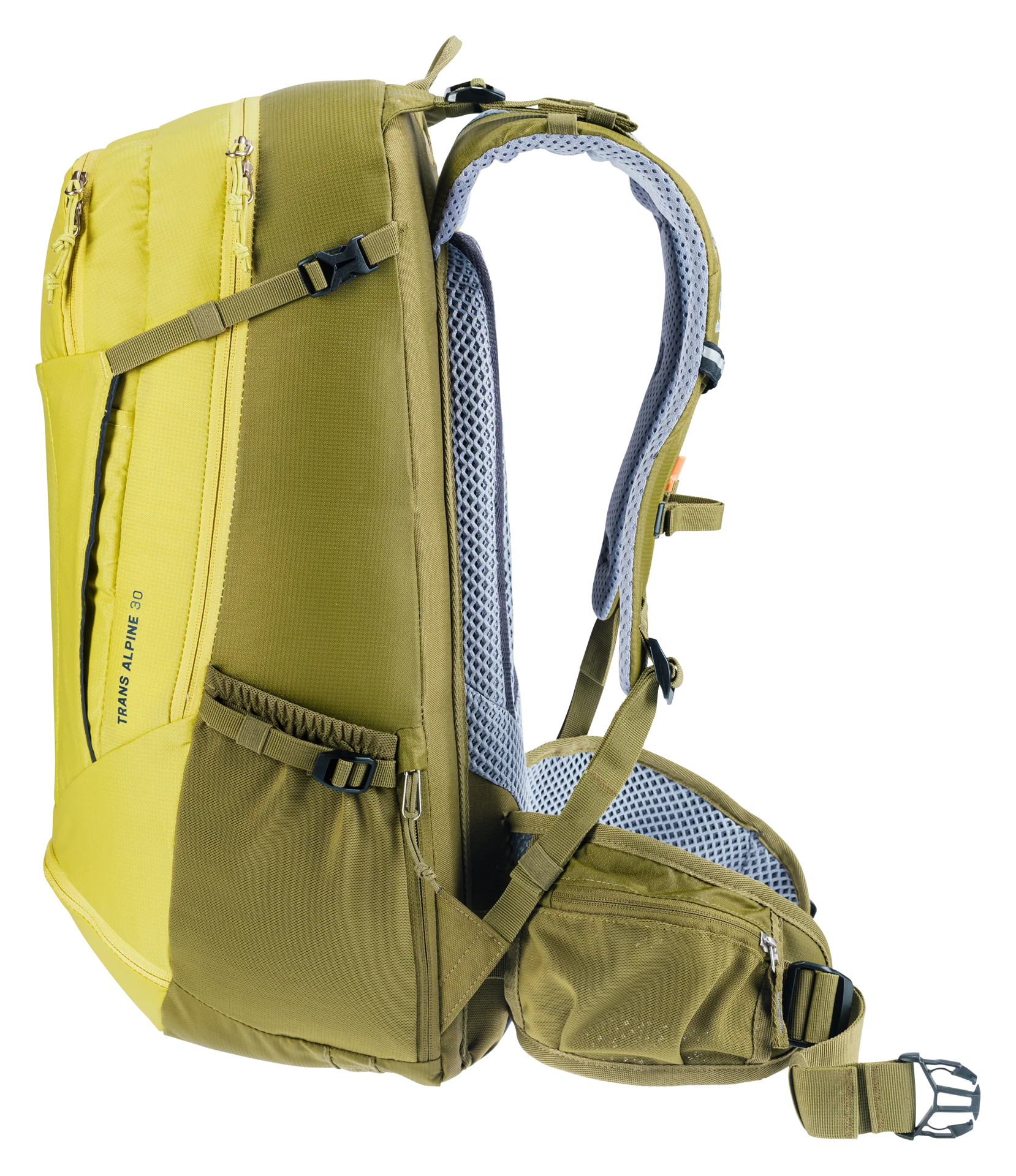 Trans Alpine 30 - sprout-cactus - Image 5