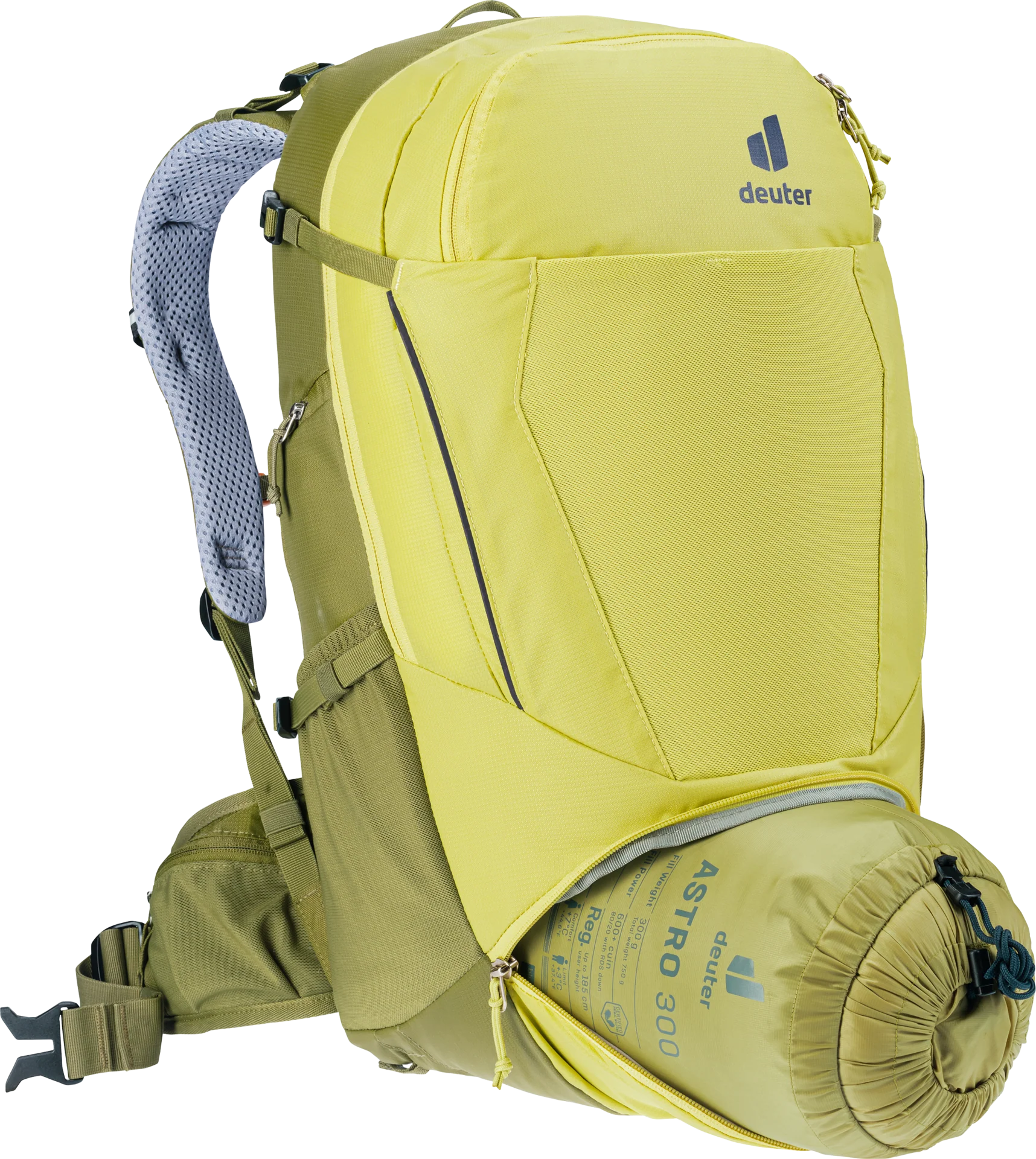 Trans Alpine 30 - sprout-cactus - Image 8
