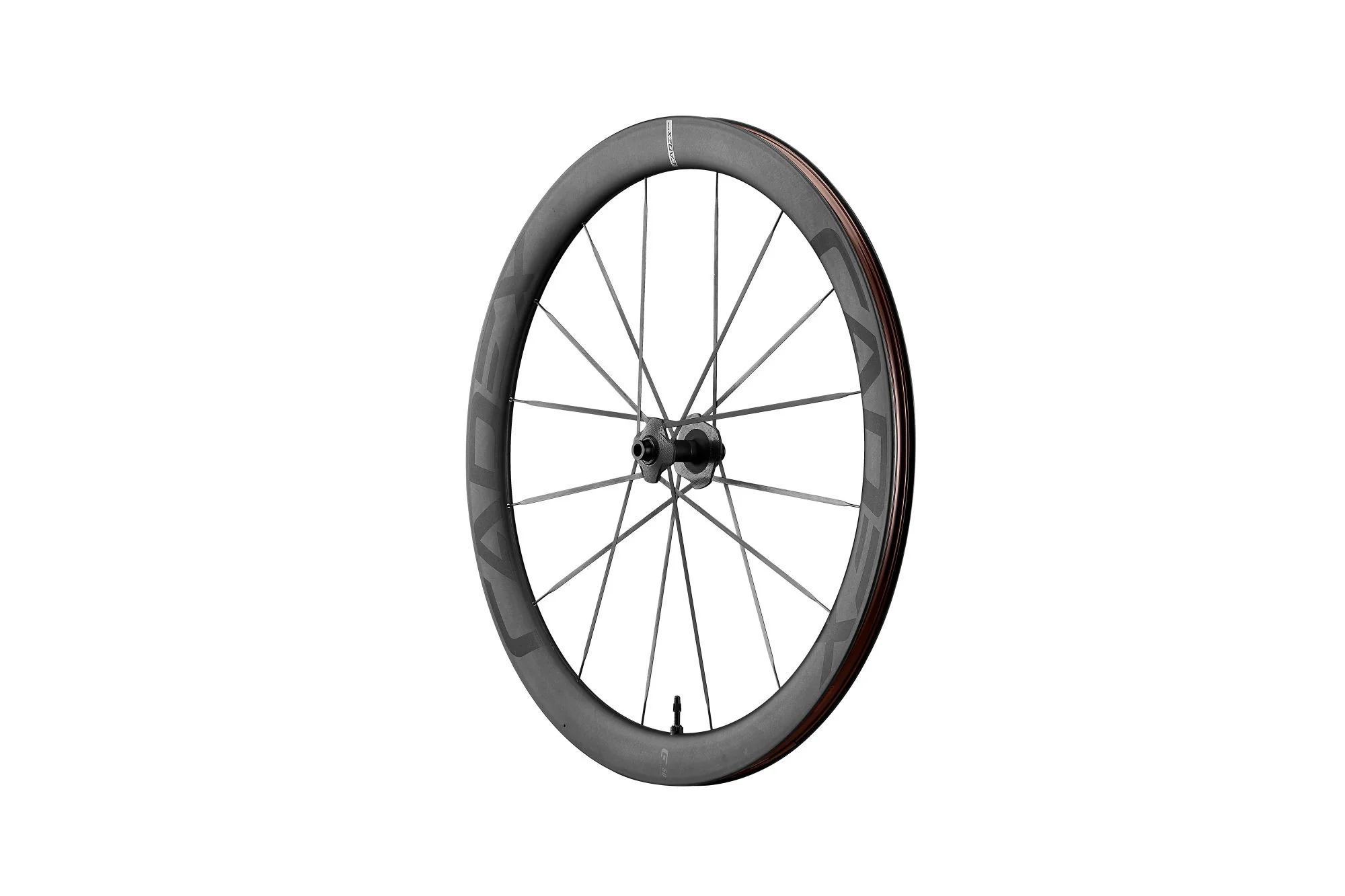 Vorderrad MAX 50 Tubeless Disc, 12 x 100 mm - Image 2