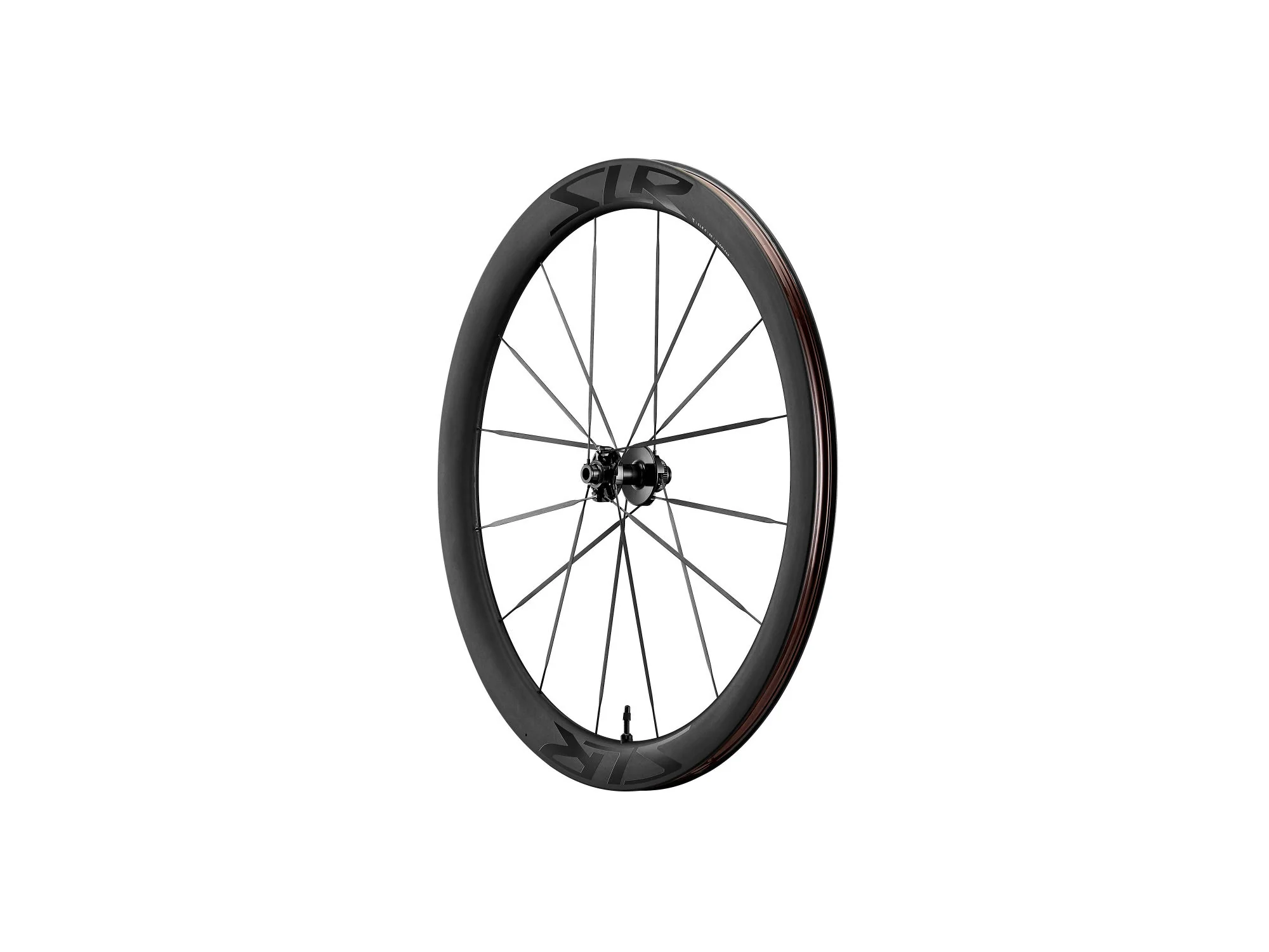 Vorderrad SLR 0 50, 12 x 100 mm - Image 2