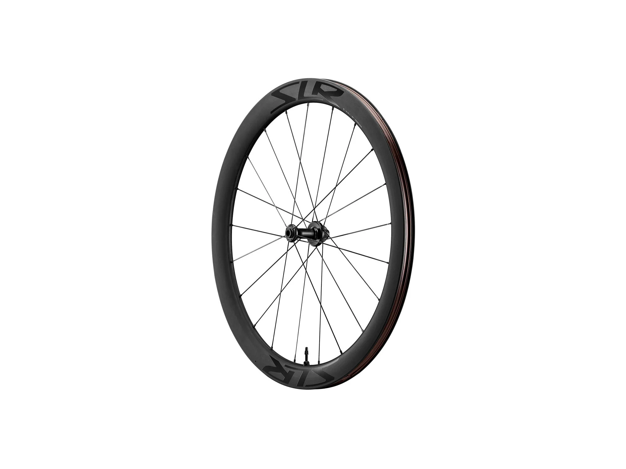 Vorderrad SLR 1 50, 12 x 100 mm - Image 2