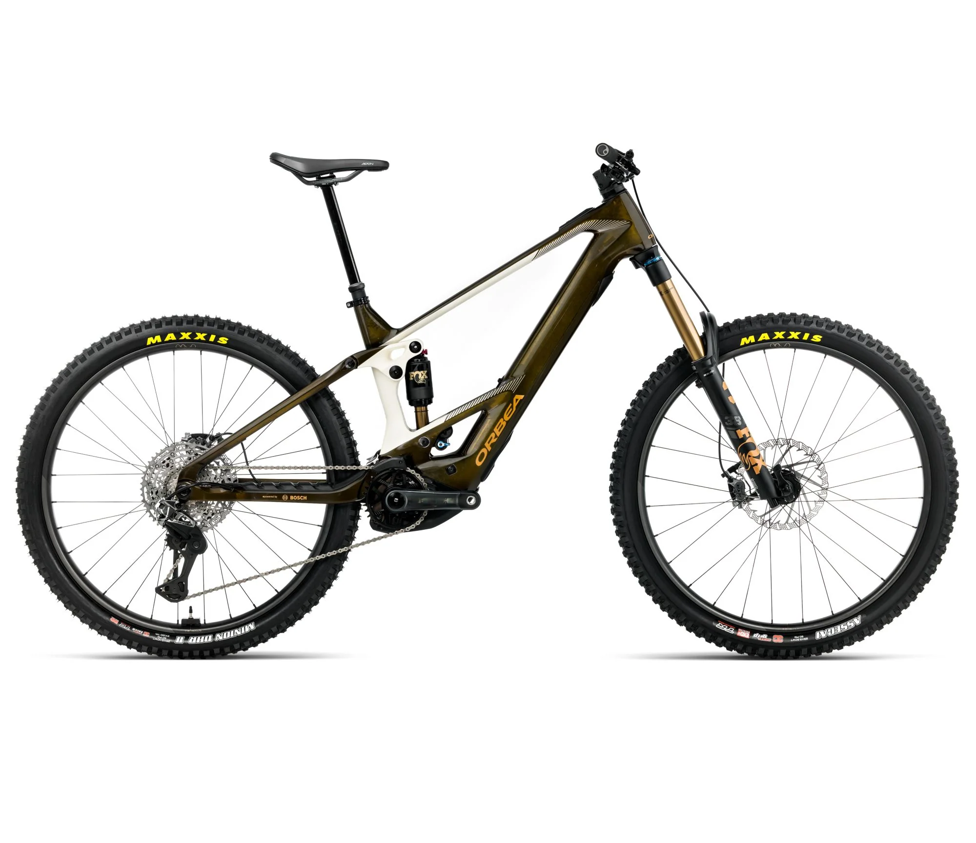 WILD M-LTD - Caramel Carbon View (Gloss)/Cream White (Matt)